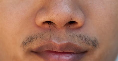 7 Facts About Nose Hair, The Bush Hiding Inside Every Nose - Goody Feed