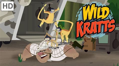 Wild Kratts - Swing Like a Spider Monkey and Bite Like a Real Spider - YouTube