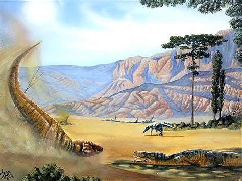 Baurusuchus salgadoensis - Atlas Virtual da Pré-História