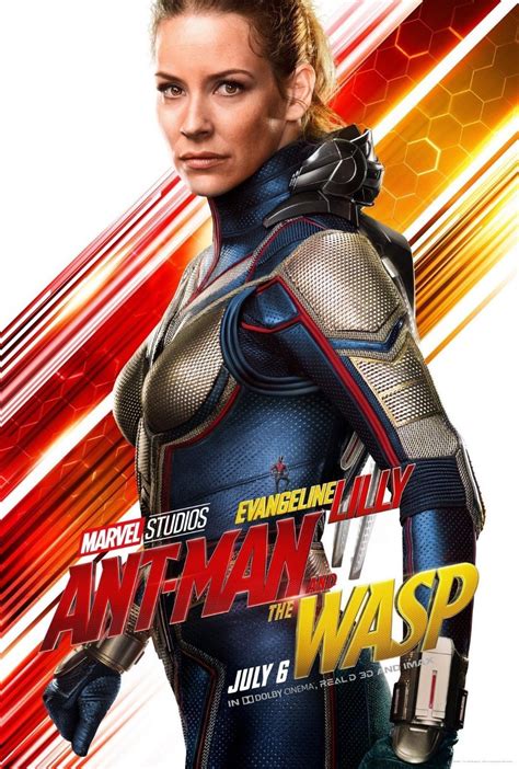 Details about Ant-Man and the Wasp Poster 48x32" 36x24 2018 Evangeline Lilly Movie Print Silk ...