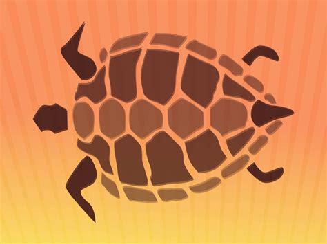 Tortoise Shell Vector at Vectorified.com | Collection of Tortoise Shell Vector free for personal use