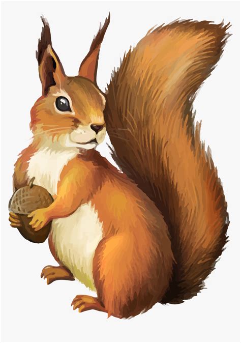 Squirrel Clip Art - Clipart Squirrel Png, Transparent Png - kindpng