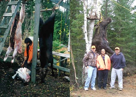 Fall Moose Hunting Package, Hearst, Chapleau, Cochrane, Timmins, Kirkland Lake, Ontario