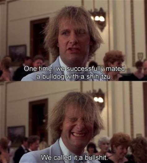 20 Funny Dumb And Dumber Quotes That I Still Use In My Everyday Life