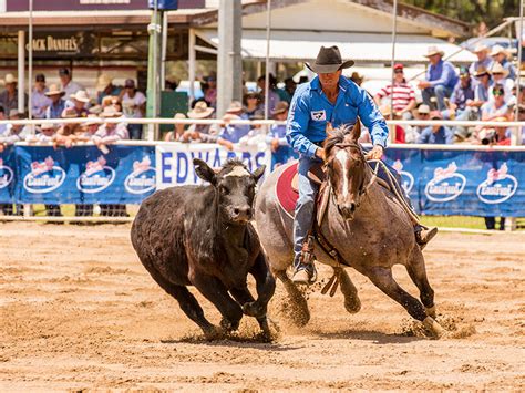 Warwick Rodeo - Southern Downs & Granite Belt