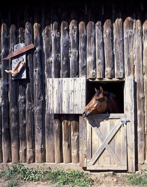 Free Images : wood, stable, stall, animal shelter 5184x3456 - - 202355 - Free stock photos - PxHere