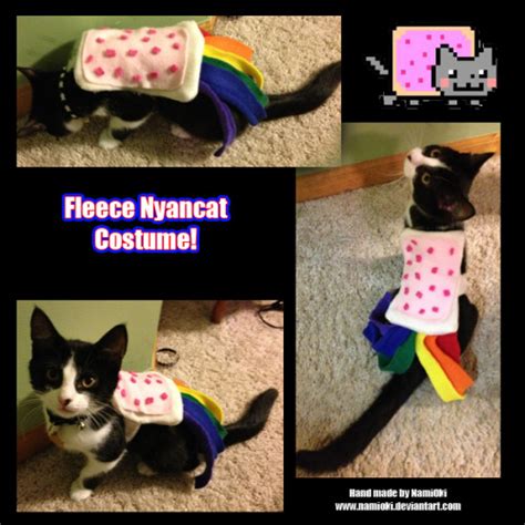 nyan cat costume on Tumblr