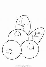 Blueberris 3 Coloring Page For Kids  Free Blueberry Printable sketch template