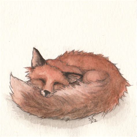 Fox Sleeping Watercolor (Sold, Print Only) - NEMAA