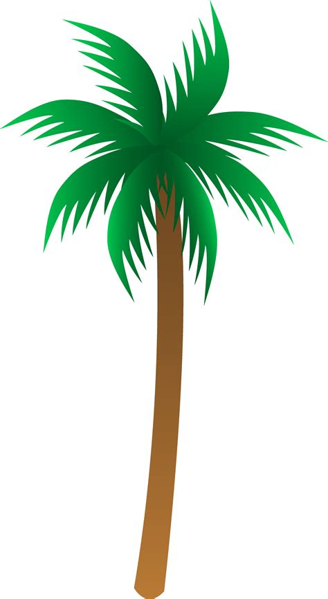 Palm tree PNG