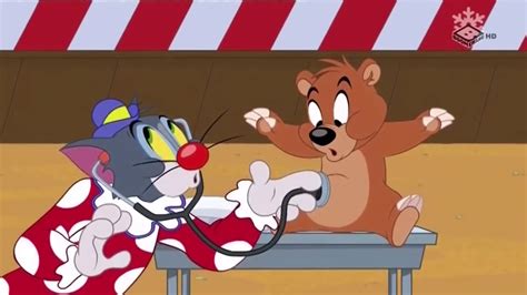 Tom si Jerry ~ Momeala ~ Desene animate traduse dublate in romana - YouTube