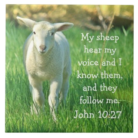 My Sheep Hear My Voice, Bible Verse John 10:27 Tile | Zazzle.com