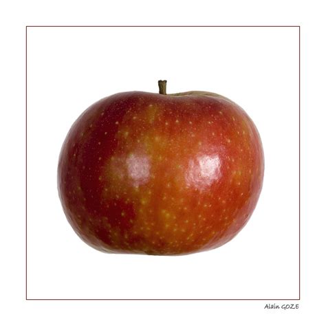 La pomme et le cube | Mutation d'une pomme rouge en pomme bl… | Flickr