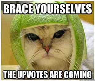 War Cat memes | quickmeme