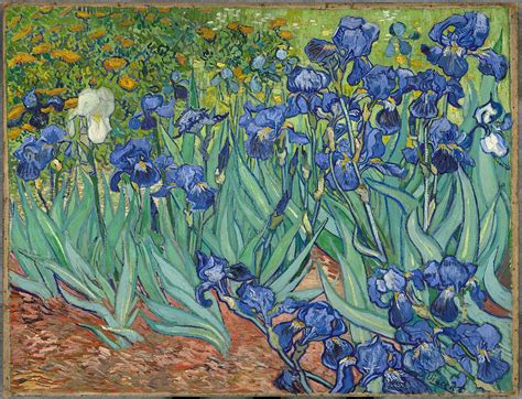 Irises (painting) - Wikipedia