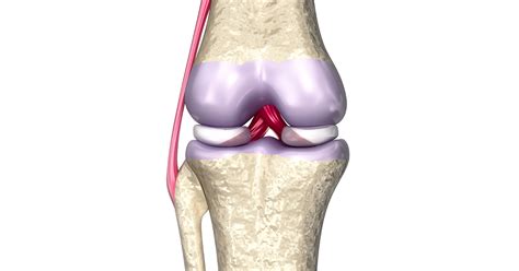 Cartilage and Tendon Repair Overview - Atlanta, GA - Spine Surgery