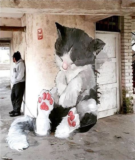 Street Walls Look Great With This Magical Art Featuring Cats in 2021 | Amazing street art, Art ...