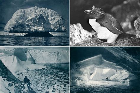 Rare photos of Antarctica in 1911 Bismarck, Interesting History ...