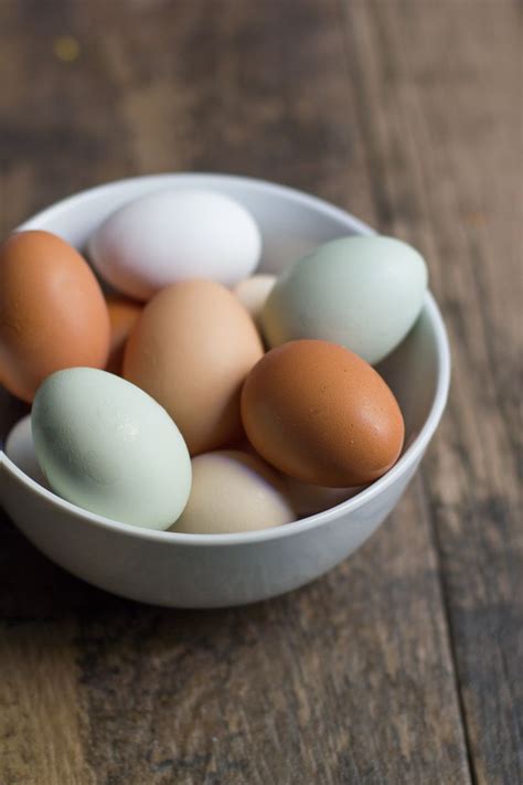 Cage-Free or Free Range: Egg Labels Explained | Organic eggs, Free ...