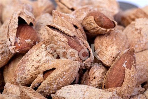 Shelled Almonds Stock Photo | Royalty-Free | FreeImages