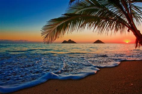 Pacific sunrise at Lanikai beach, Hawaii | Lanikai beach, Hawaii beaches, Scenic
