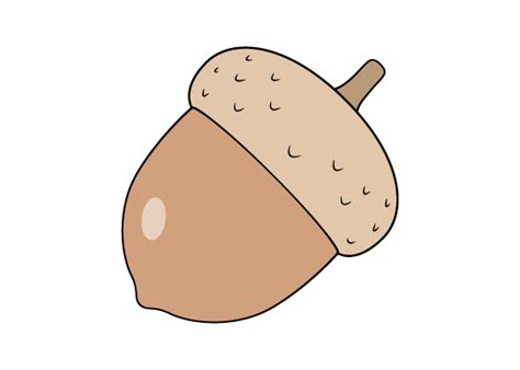 Top 3 how to draw acorns in 2022 [2023] AZSAGE