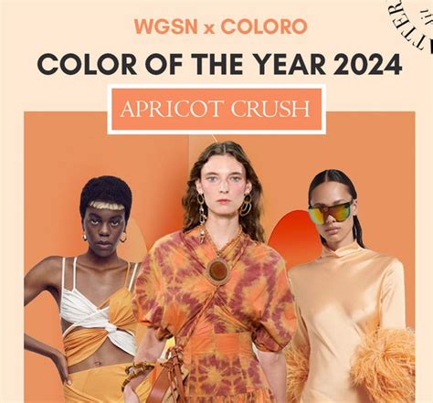 New Year 2024 Colors To Wear - Liza Sheryl