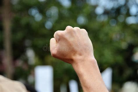 Fist Raised in Protest stock image. Image of flex, protest - 85629869