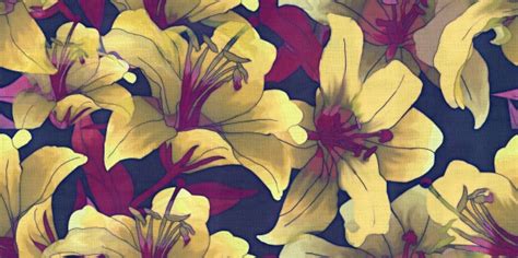Floral Pattern Background 948 Free Stock Photo - Public Domain Pictures