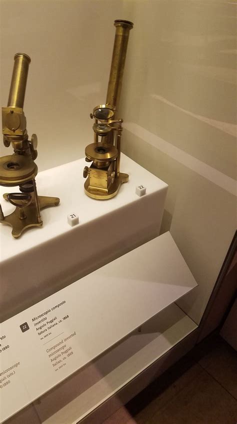 Microscope at Galileo Museum, Florence | Microbiology, Microscope, Florence