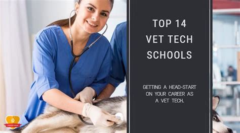 Top 14 Best Veterinary Technician Schools for 2024 * Choose Wisely!