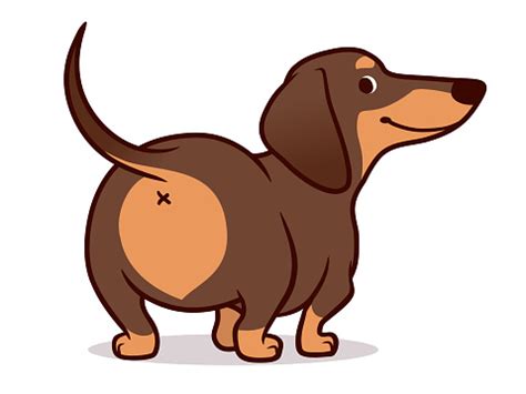 Cute Wiener Worst Hond Vector Cartoon Illustratie Geïsoleerd Op Wit Eenvoudige Tekening Van ...