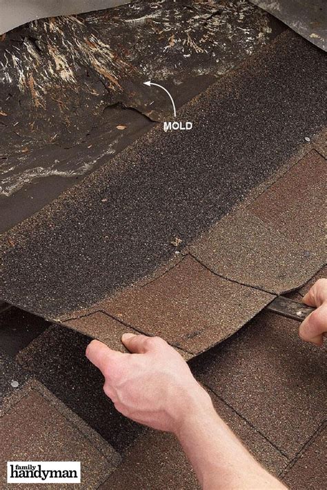 12 Roof Repair Tips: Find and Fix a Leaking Roof | Leaking roof, Roof repair diy, Roof repair