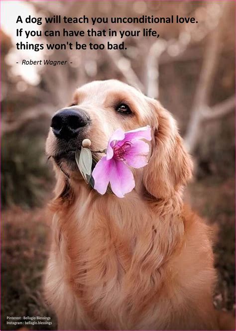 National Dog Day Quotes - ShortQuotes.cc