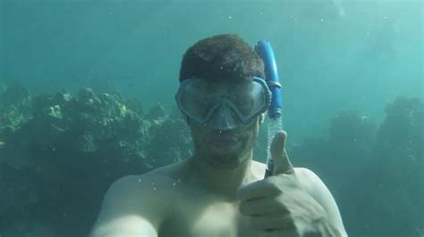 Maui Adventures: Snorkeling in Turtle Bay #4 - Ftw Video | eBaum's World