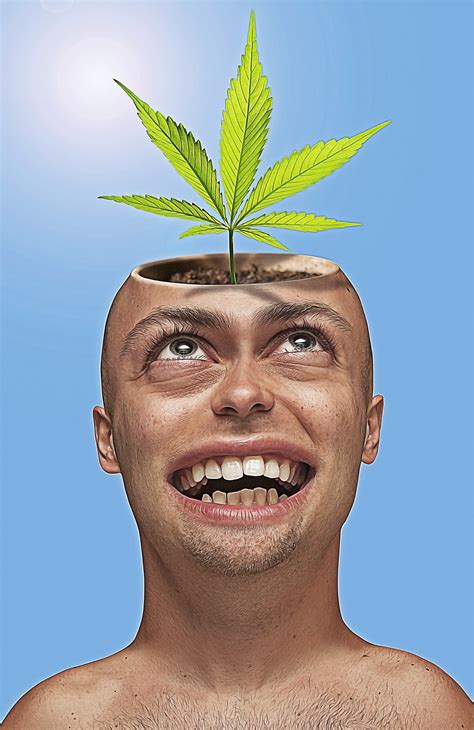 Free Images : caricature, caricatures, bald, marijuana, man, face, facial expression, nose, head ...