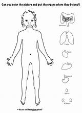 Human body coloring Pages To Download And Print For Free sketch template