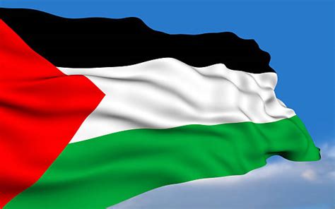 Bandera Palestina - Banco de fotos e imágenes de stock - iStock