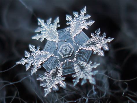 Photos of Snowflakes up Close