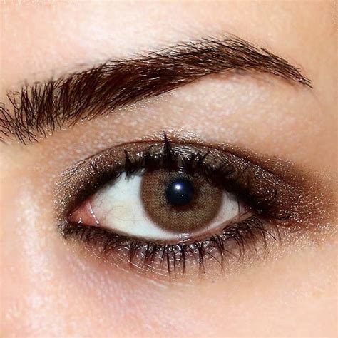 Lightly Modern Brown 1 Month Contacts - Bbbeautycontact