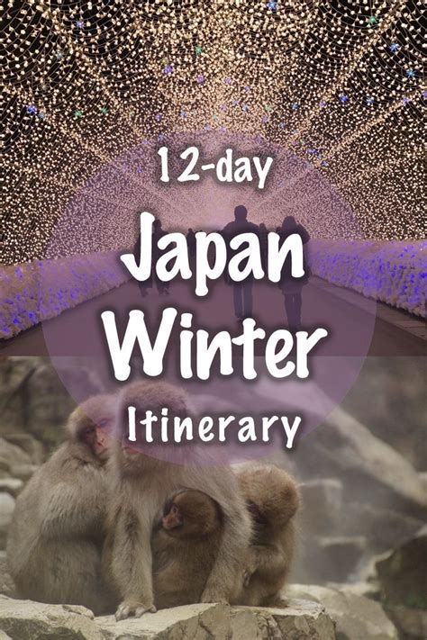 Japan Winter 12-day Itinerary - Adventures with Family | Japan winter, Winter in japan, Japan ...