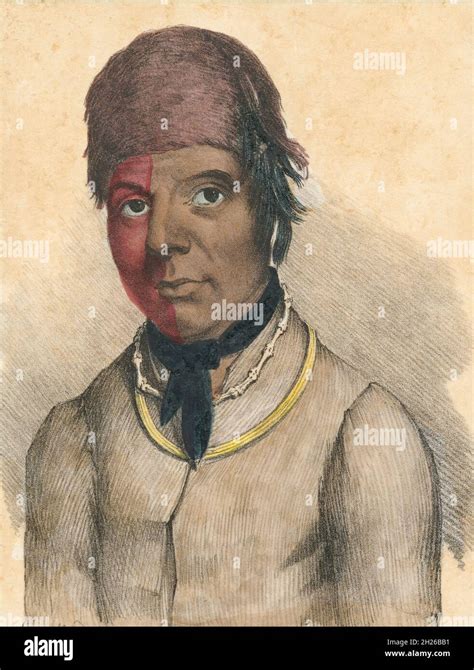 American portrait of the oneida c hi-res stock photography and images - Alamy