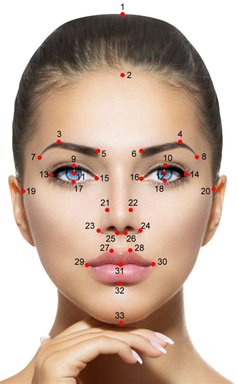 Perfect face proportions - polizhits