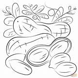 Peanut coloring Page  Free Printable Coloring Pages sketch template