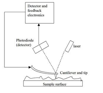 Nanotechnology and the Atomic Force Microscope