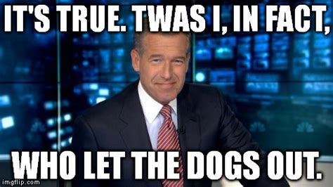 Brian Williams - Imgflip