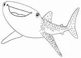 Whale Shark Coloring Page sketch template