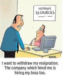 Image result for Human resources memes | Work humor, Hr humor, Human ...