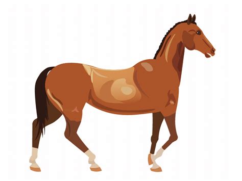 Horse walking by Kaan Kala on Dribbble