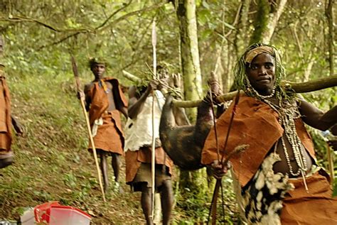 Hunting for Food - Welcome to the Batwa Experience